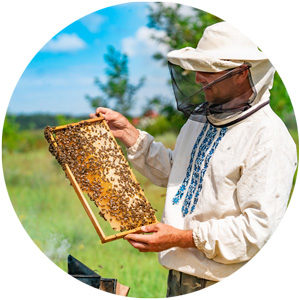 teambuilding cebelar za en dan 2