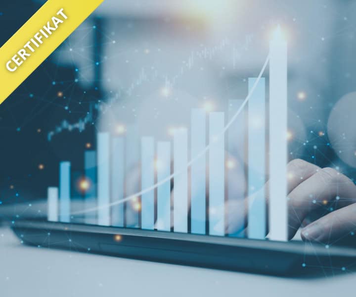 Osnovna sredstva: računovodski in davčni vidik obravnave