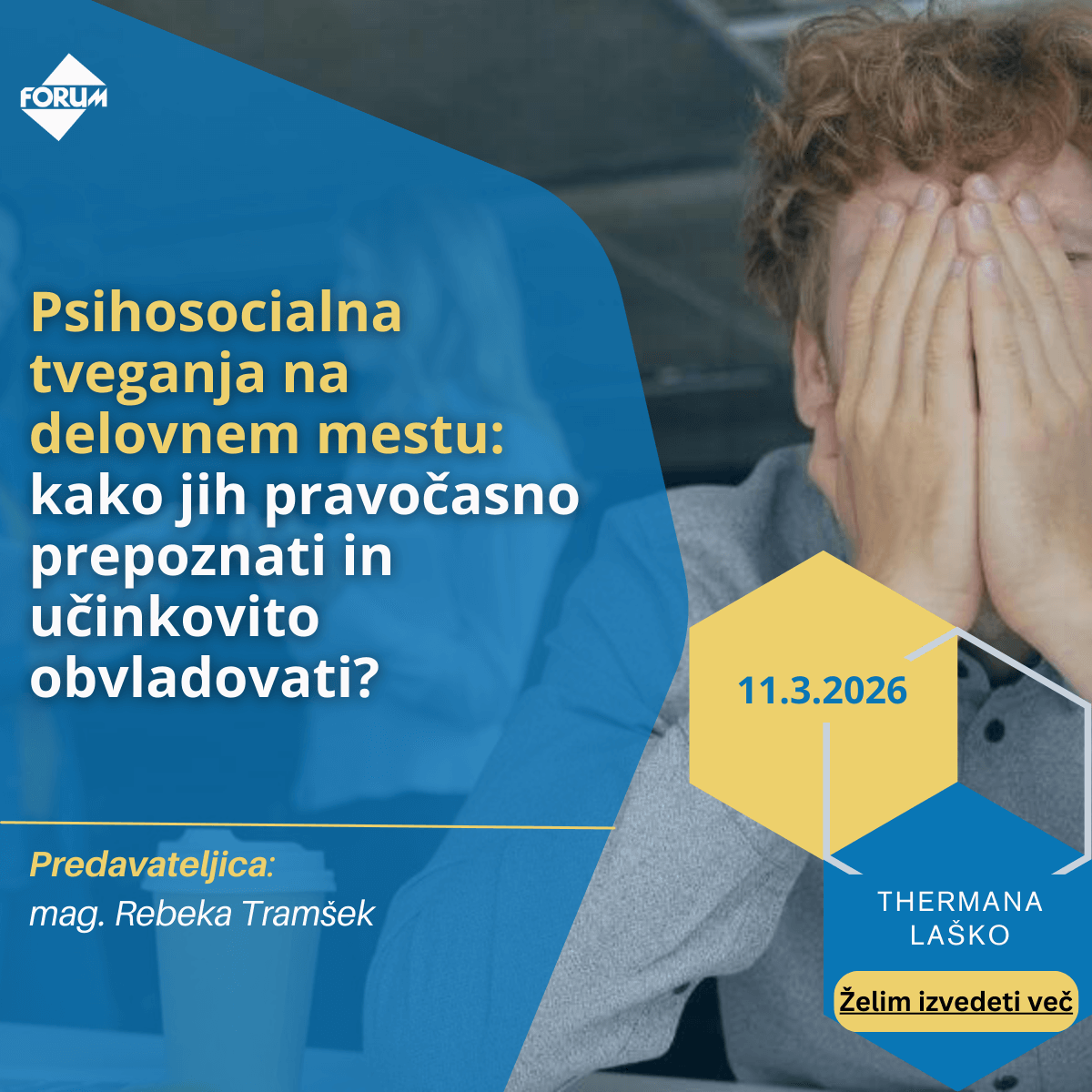 psihosocialna tveganja na delovnem mestu seminar